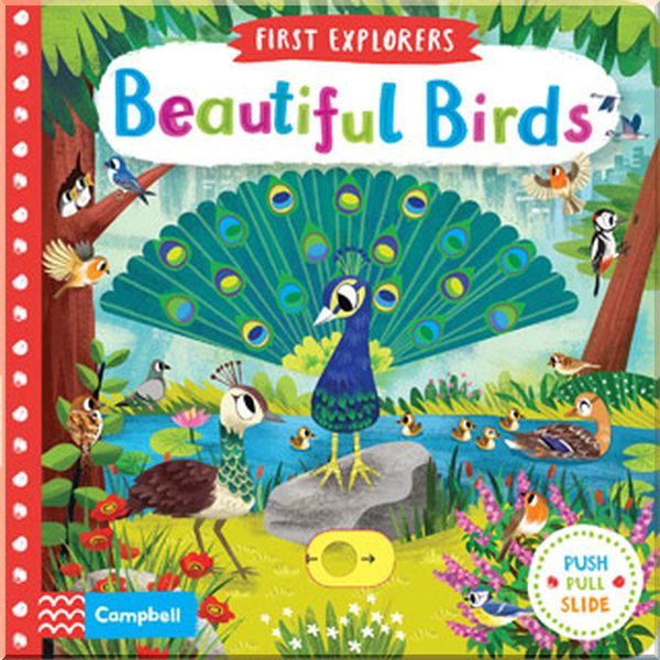 

Campbell Books First Explorers: Beautiful Birds. Chorkung. ISBN:9781509898336