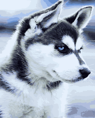 

Щенок Хаски. Набор для рисования. Brushme 40x50
