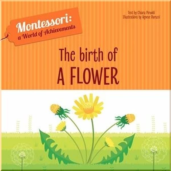 

The Birth of a Flower. Agnese Baruzzi Chiara Piroddi. ISBN:9788854414044