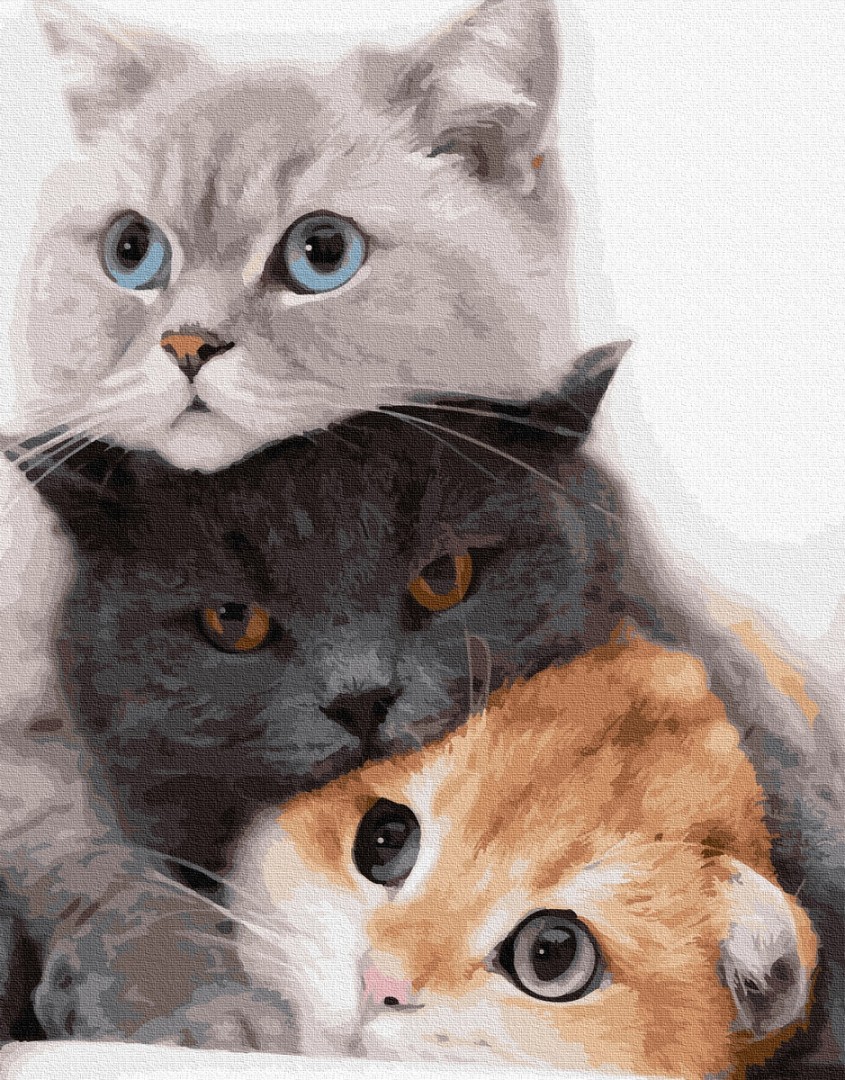

Картина по номерам Brushme Котики-муркотики, 40 х 50 см (PGX34826)
