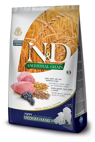 

Farmina (Фармина) N&D LOW GRAIN DOG LAMB & BLUEBERRY PUPPY MEDIUM & MAXI 2,5 KGНизкозерновой сухой корм для щенков средних и больших пород (ягненок / черника), 2,5 кг