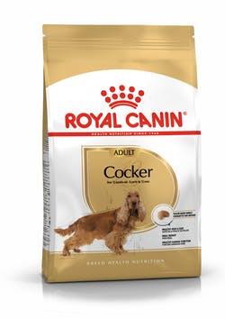 

Royal Canin Cocker Adult, корм для взрослых собак породы кокер-спаниель, 3 кг