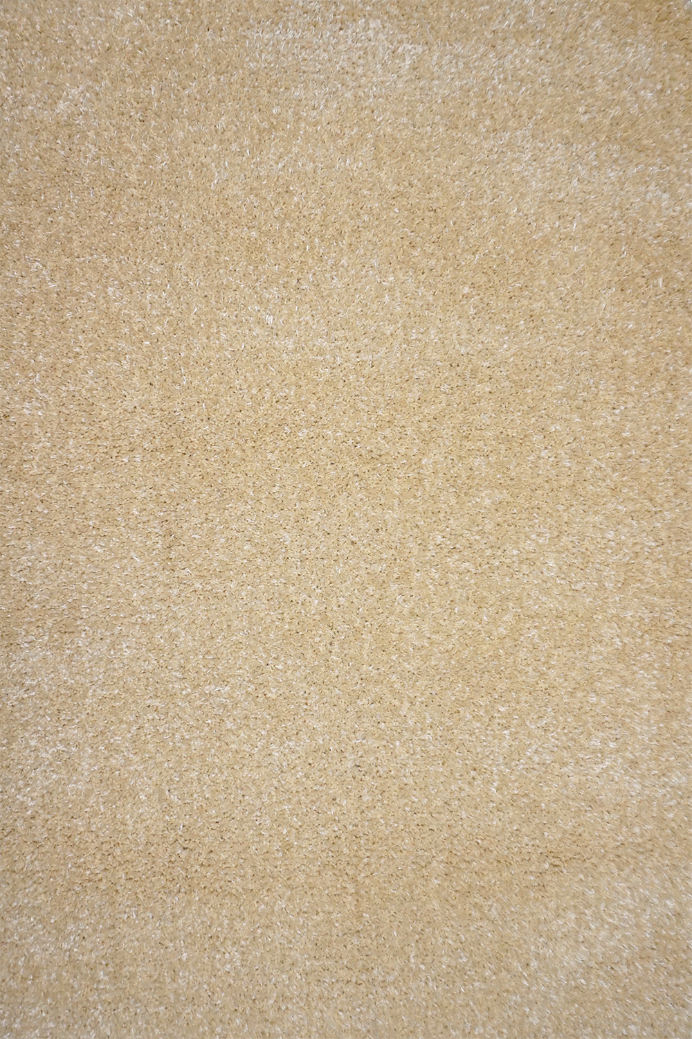 

Ковер Acvila Group PANDA 1039 1 1.2x1.7 м. Прямоугольник Бежевый