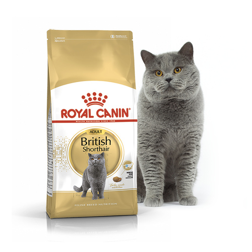 

Сухой корм Royal Canin для взрослых кошек породы Британская короткошерстная Breed British Shorthair adult 2 кг BGL-RC-61