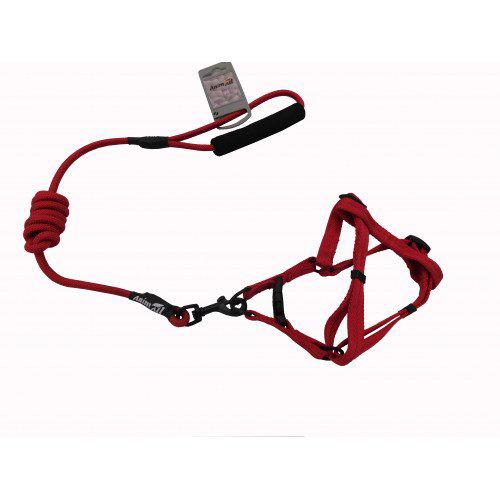 

Комплект шлея с поводком AnimAll для животных, M, 1 x 120 см, красный