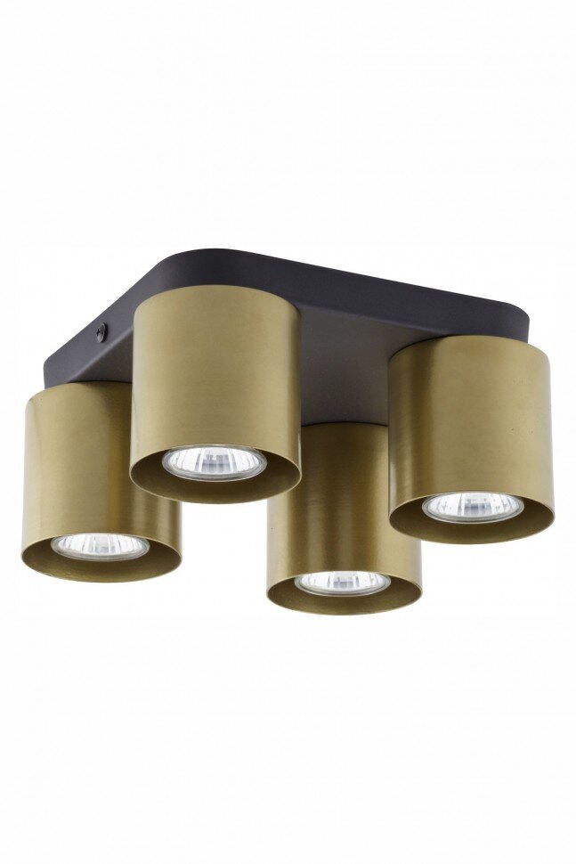 

Потолочный светильник VICO 4 BK/GO TK-Lighting 6511