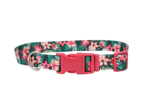 

Ошейник для собак Pet Attire Style дл. 12-30 см - ш. 1 см Coastal BGL-CS-272