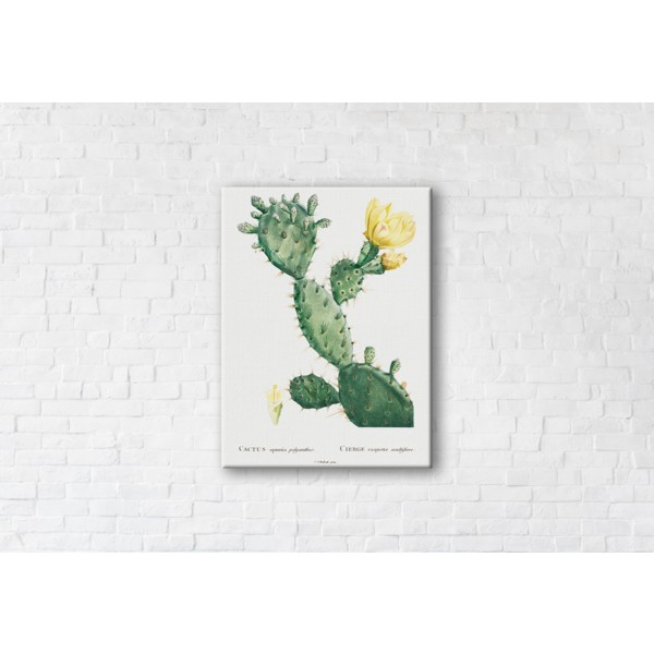 

Картина на холсте Cactus Yellow 50x65см Franklin