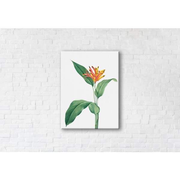 

Картина на холсте Tropical Flower 50x65см Franklin