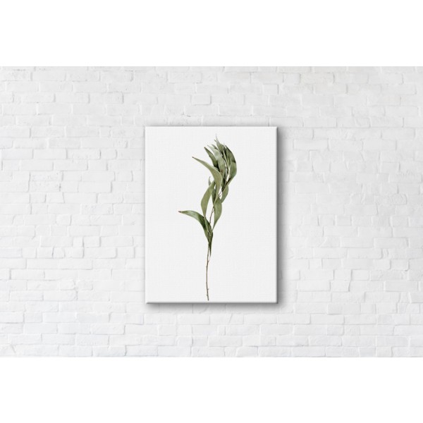 

Картина на холсте Free 90x120см Franklin