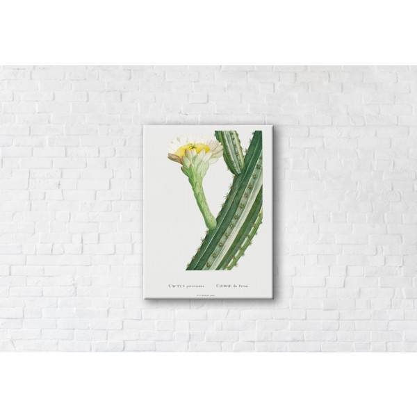 

Картина на холсте Cactus 75x100см Franklin