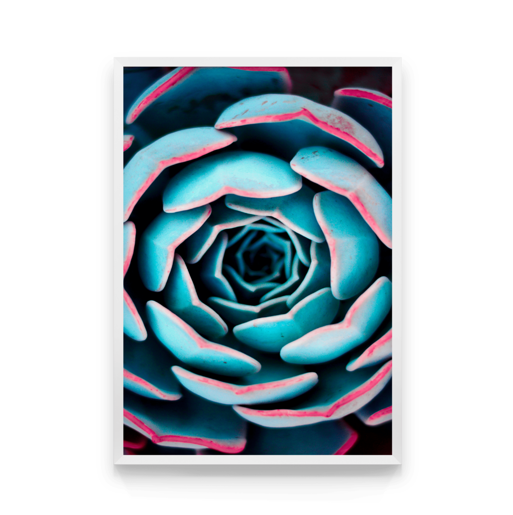 

Постер в рамке BELLE 50x70 см