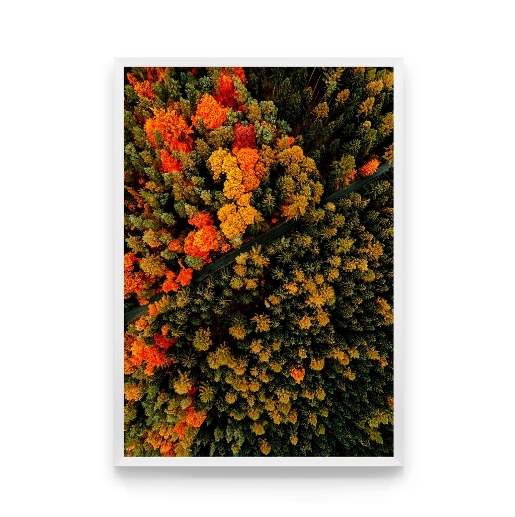 

Постер в рамке ДОРОГА В ЛЕСУ 40x50 см