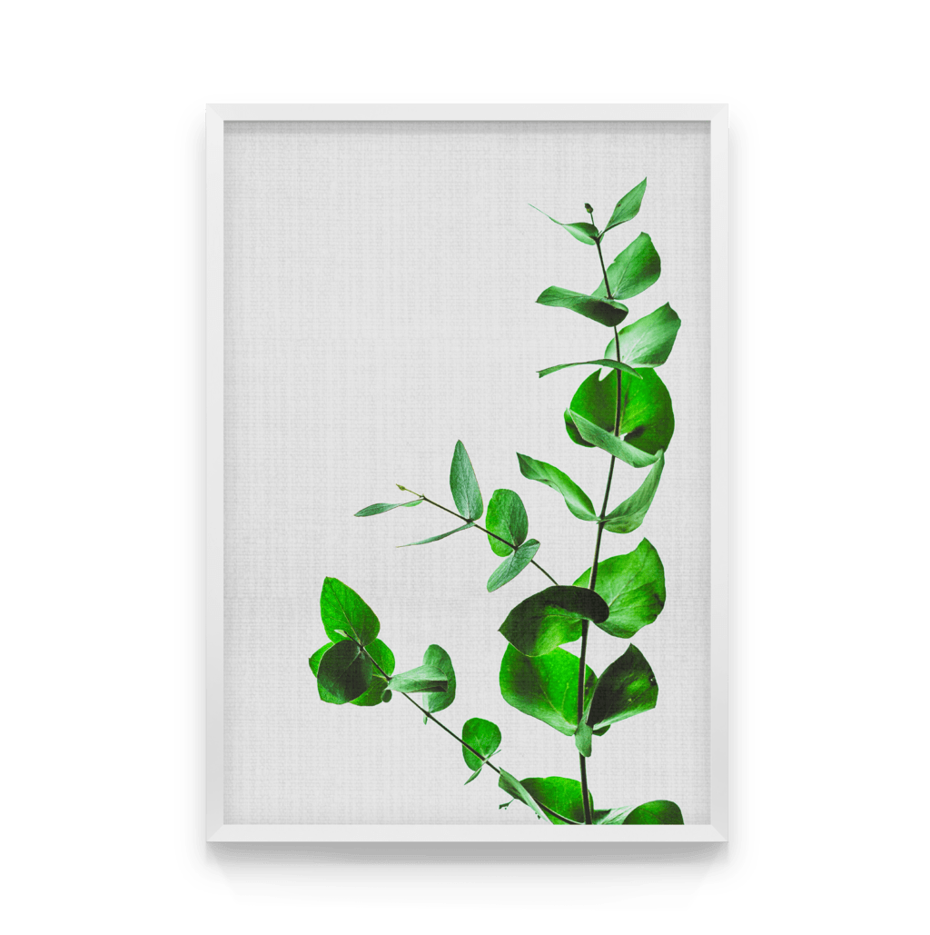 

Постер в рамке BOTANIC 40x50 см