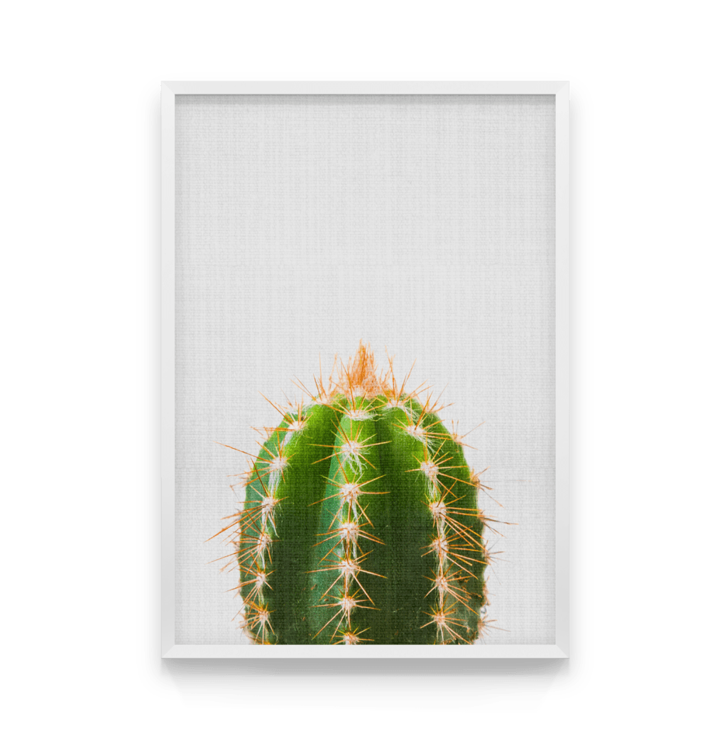 

Постер в рамке CACTUS 50x70 см