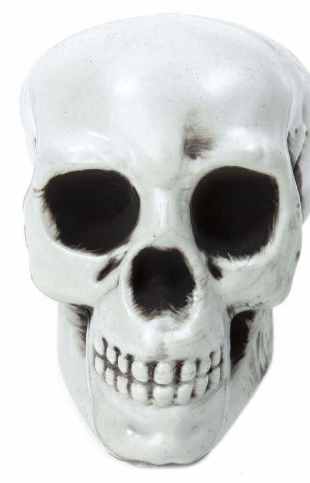 

Декор череп муляж на Хэллоуин Halloween