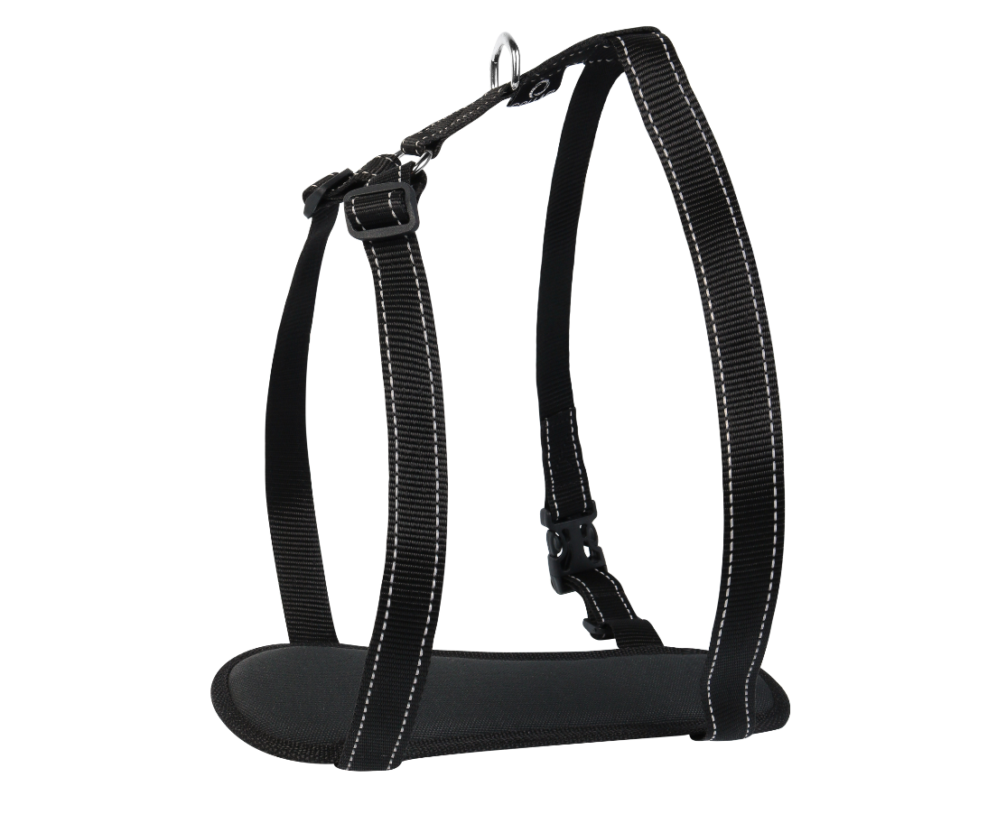 

Шлея для собак черная Dog Extreme COLLAR ш. 25 мм, дл. 60-90 см CoLLar Dog Extremе BGL-WD-3421