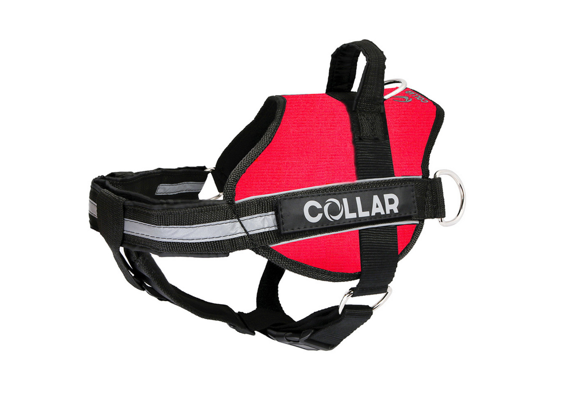 

Шлея для собак красная POLICE Dog Extreme COLLAR дл. 55-75 см CoLLar Dog Extremе BGL-WD-3428