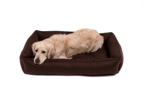 

Лежак для собаки Sofa Brown, коричневый XL (110x70 cm) Harley & Cho BGL-HL-563