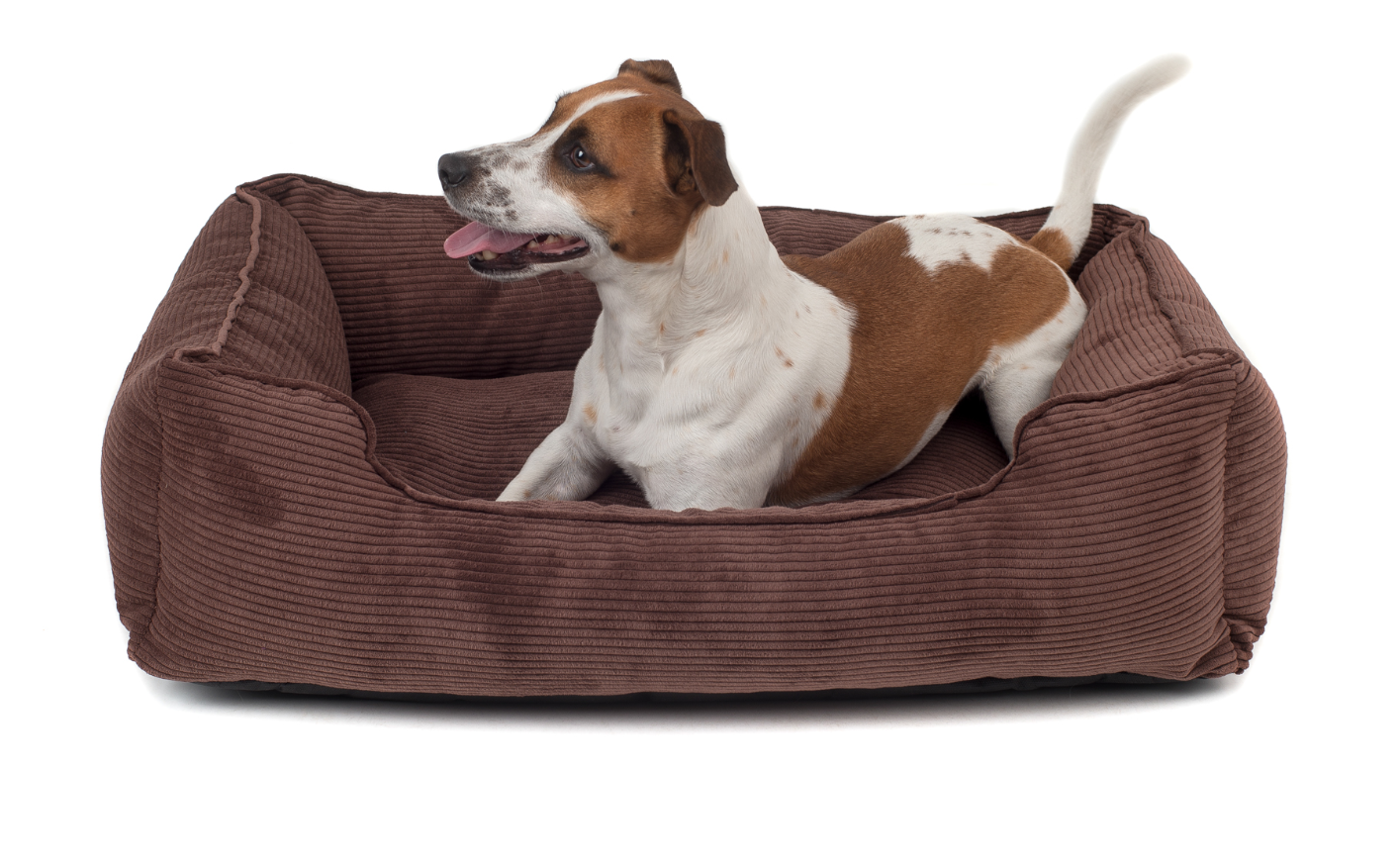 

Лежак Dreamer Brown Velvet коричневый XХL (120x80 cm) Harley & Cho BGL-HL-128