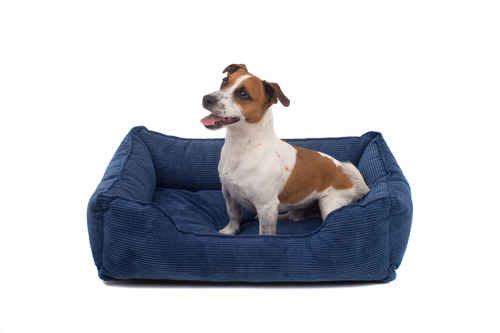 

Лежак Dreamer Denim Velvet синий XS (50x40 cm) Harley & Cho BGL-HL-135
