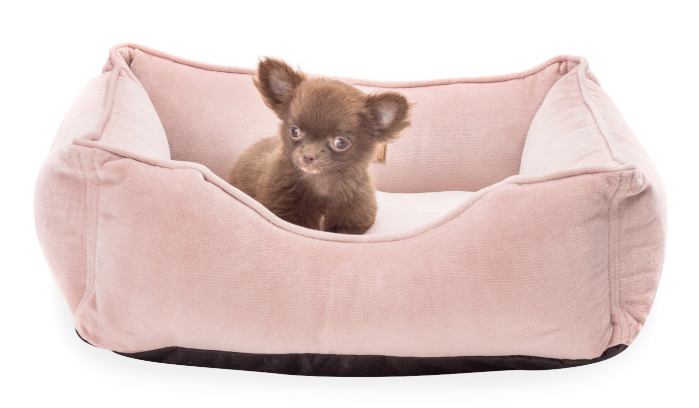 

Лежак Dreamer Velur Pudra пудровый M (70x50 cm) Harley & Cho BGL-HL-101