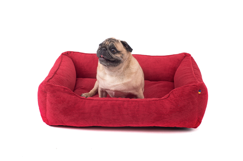 

Лежак Dreamer Red Velvet красный S (60x45 cm) Harley & Cho BGL-HL-154