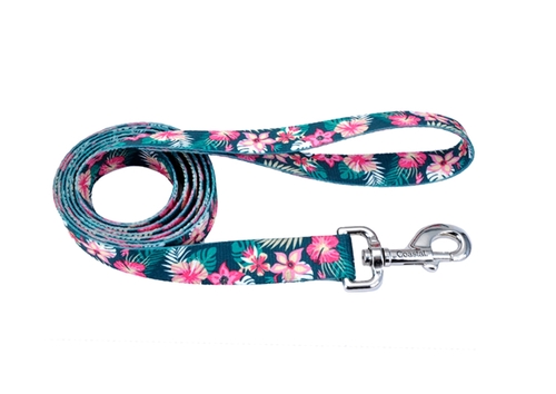 

Поводок для собак Pet Attire Style дл. 1.2 м - ш. 1 см Coastal BGL-CS-255