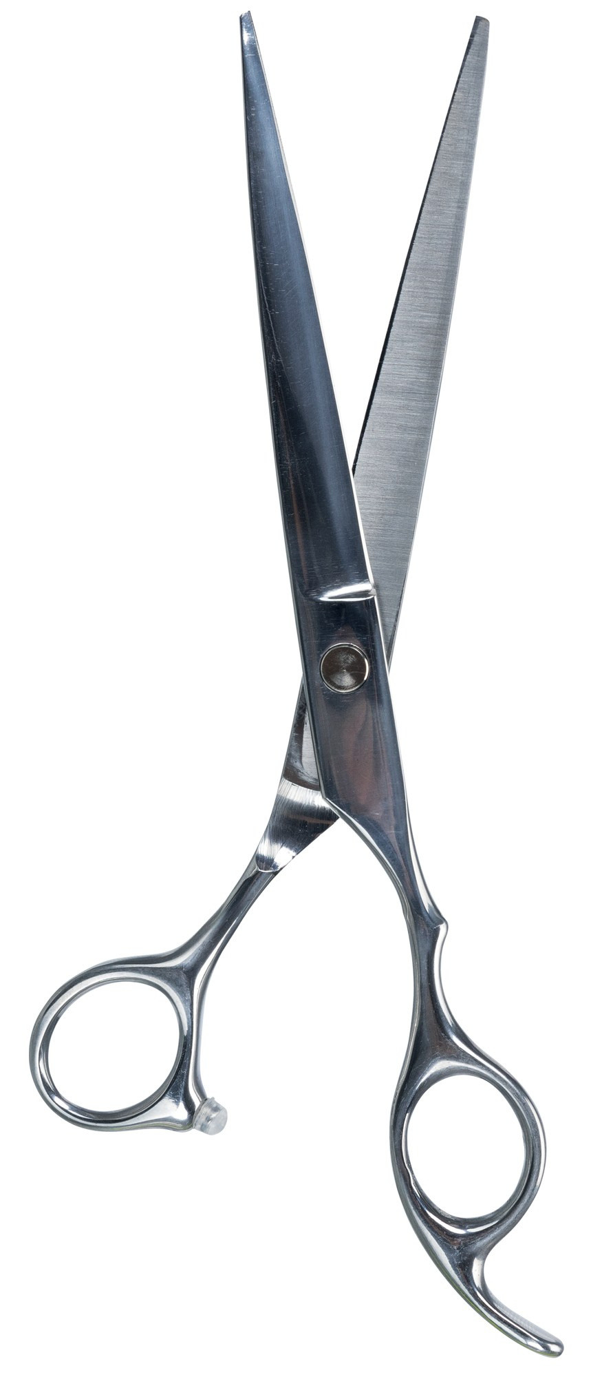 

Ножницы для стрижки кошек и собак Professional Thinning Scissors 20 см Trixie BGL-TX-2479