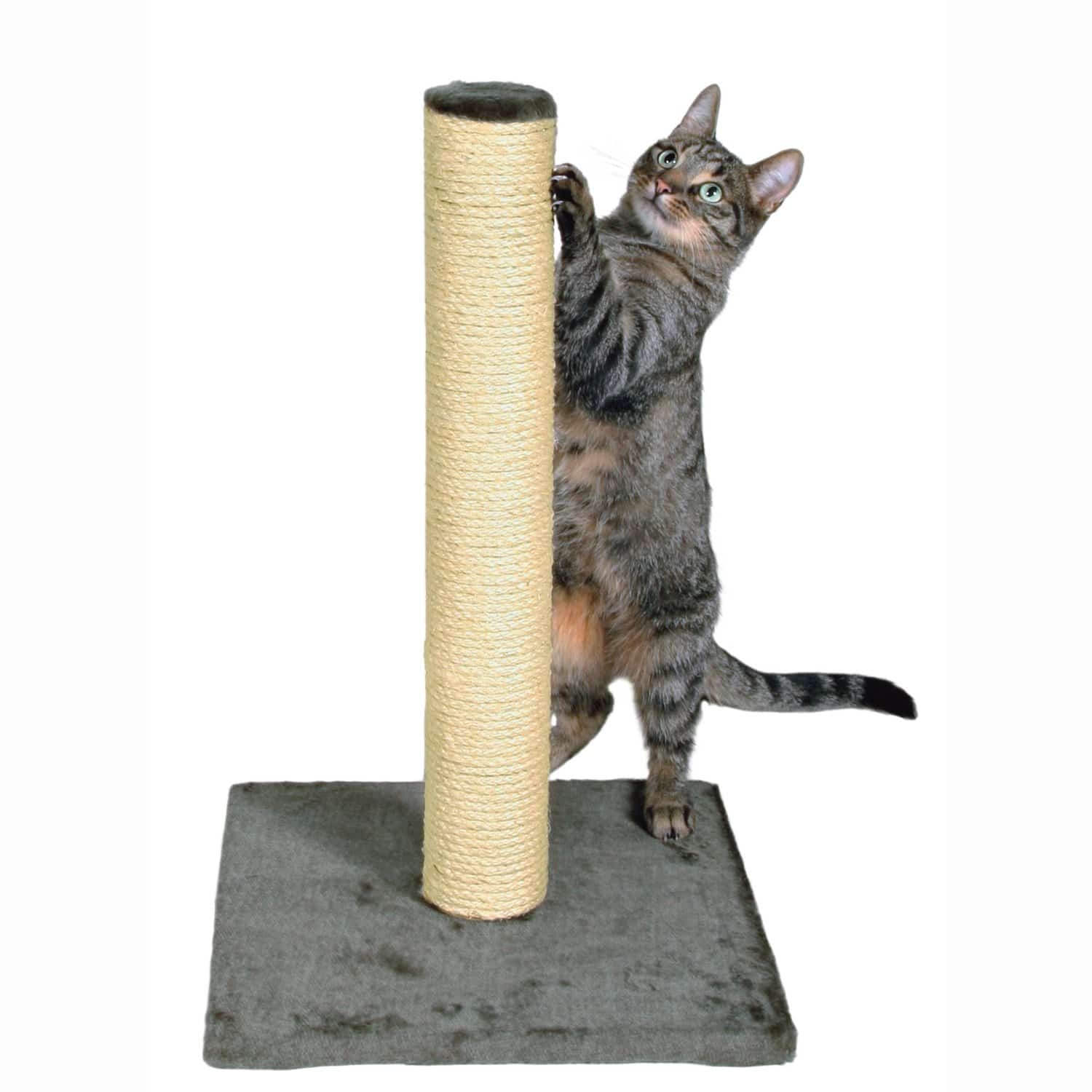 

Дряпка для кошки Parla Scratching Post 62 см, серая Trixie BGL-TX-2111