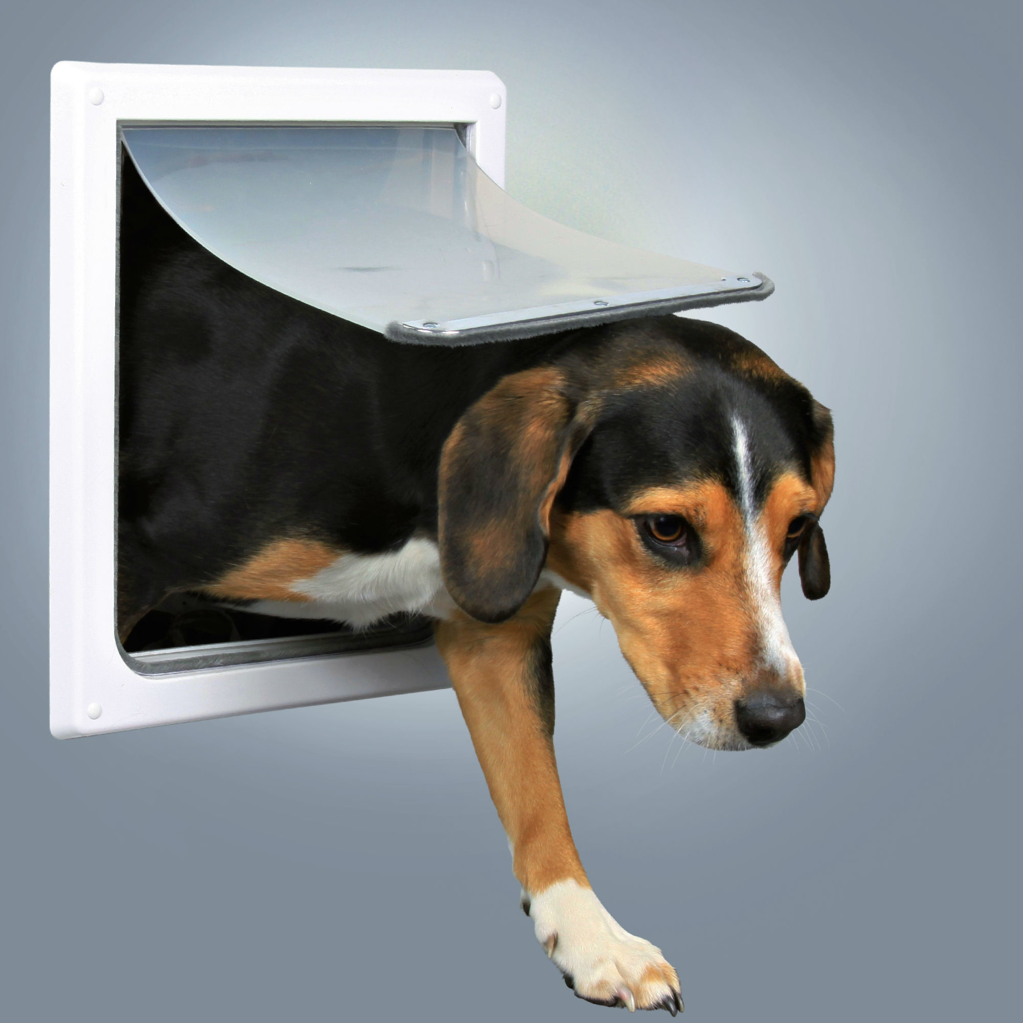 

Дверца врезная для собак Free Dog 2-Way Dog Flap S-M 30 х 36 см Trixie BGL-TX-641