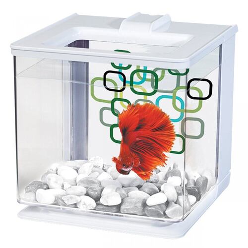 

Аквариум для петушка белый Betta EZ Care 16 x 16 x 16 см MARINA Hagen BGL-HG-151