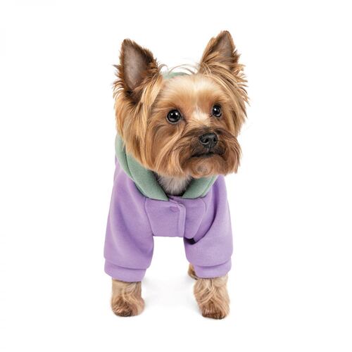 

Толстовка для собак cиренево-мятная Pet Fashion BE DIFFERENT XS Pet Fashion BGL-PF-1153