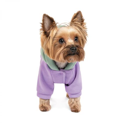 

Толстовка для собак cиренево-мятная Pet Fashion BE DIFFERENT XS2 Pet Fashion BGL-PF-1154