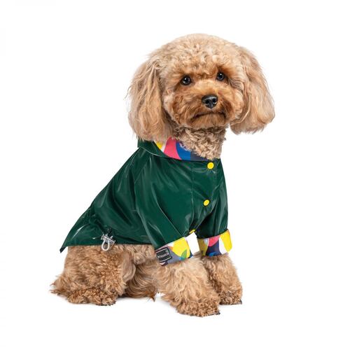 

Ветровка для собак зеленая Pet Fashion AIR S Pet Fashion BGL-PF-1127