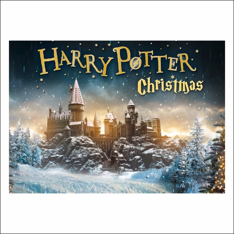 

Пазл Vivay Harry Potter "Christmas" 38.5х26.5 см (10554)