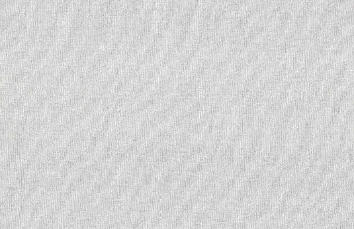 

Обои виниловые горячего тиснения на флизелиновой основе Vinil LS Тигго 1.06х10.05 м светло-серые (ЭШТ 4-1536)