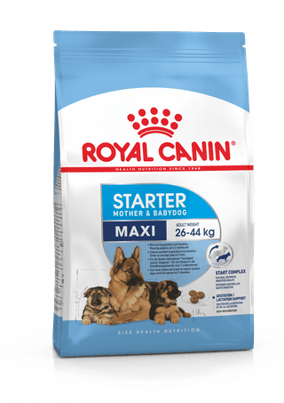 

Корм для беременных собак и щенков крупных размеров MAXI STARTER Royal Canin 15 кг (2994150)