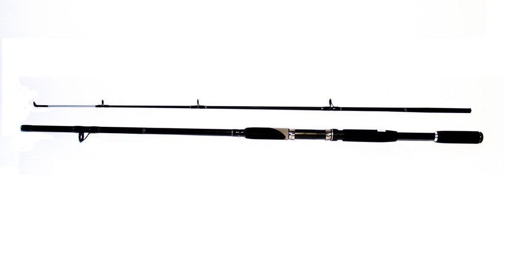 

Удилище Siweida Victor Spin 300 100-250g 2717305