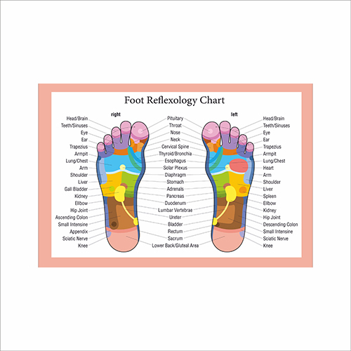 

Плакат Beauty Special “Foot reflexology chart" А0