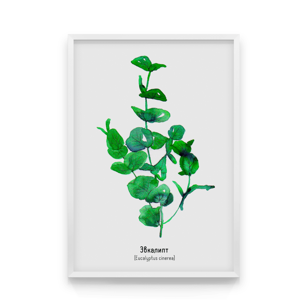 

Постер в рамке EUCALYPTUS 50x70 см