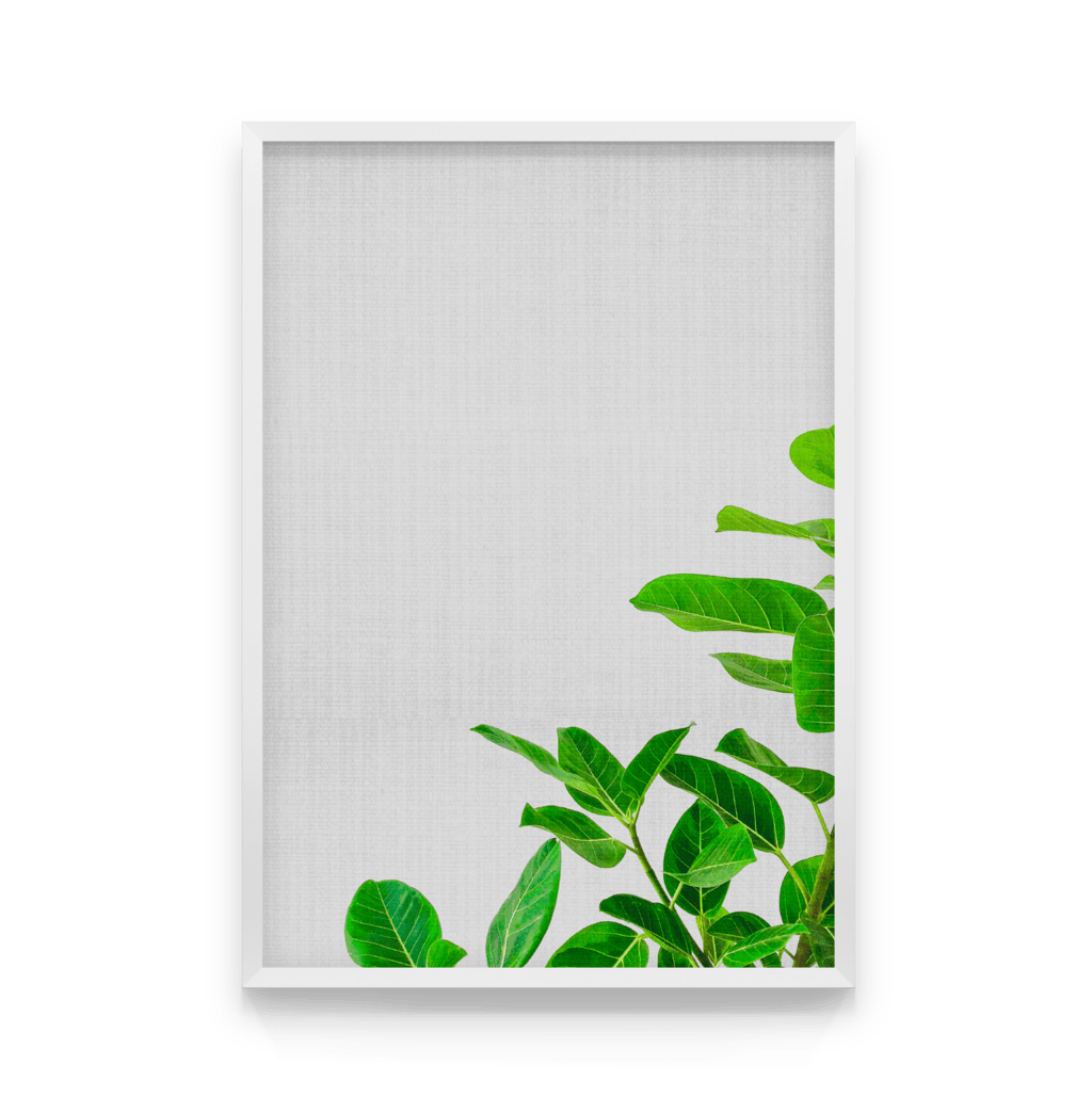 

Постер в рамке BOTANICA 40x50 см