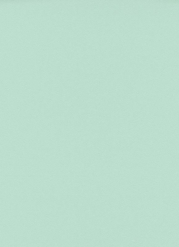 

Обои виниловые на флизелиновой основе Erismann Brilliant Colours 02403-35