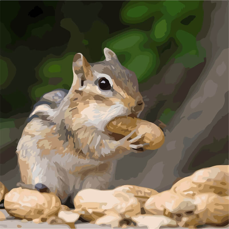 

Картина по номерам ArtCraft "Крошка бурундук" 40x40 см (11610-AC)