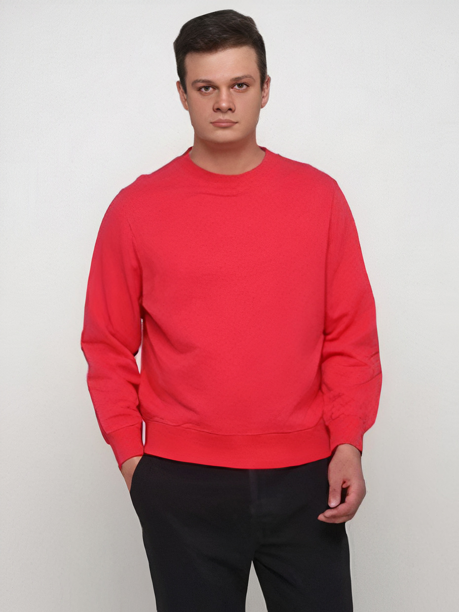 

Свитшот H&M 0169  Красный, Свитшот H&M 0169 S Красный