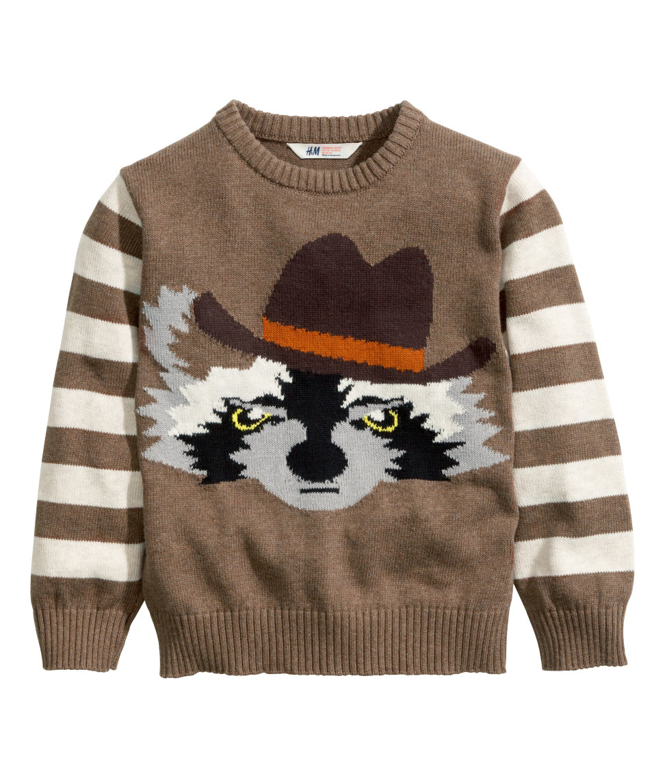 

Вязаный джемпер H&M racoon для мальчика Серый (2-4/104) (1171)