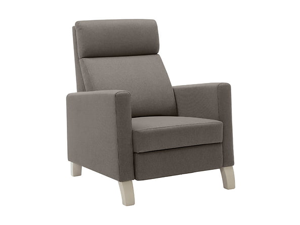 

Кресло с функцией ручной релаксации Santos BRW Sofa 78x100x90 101913