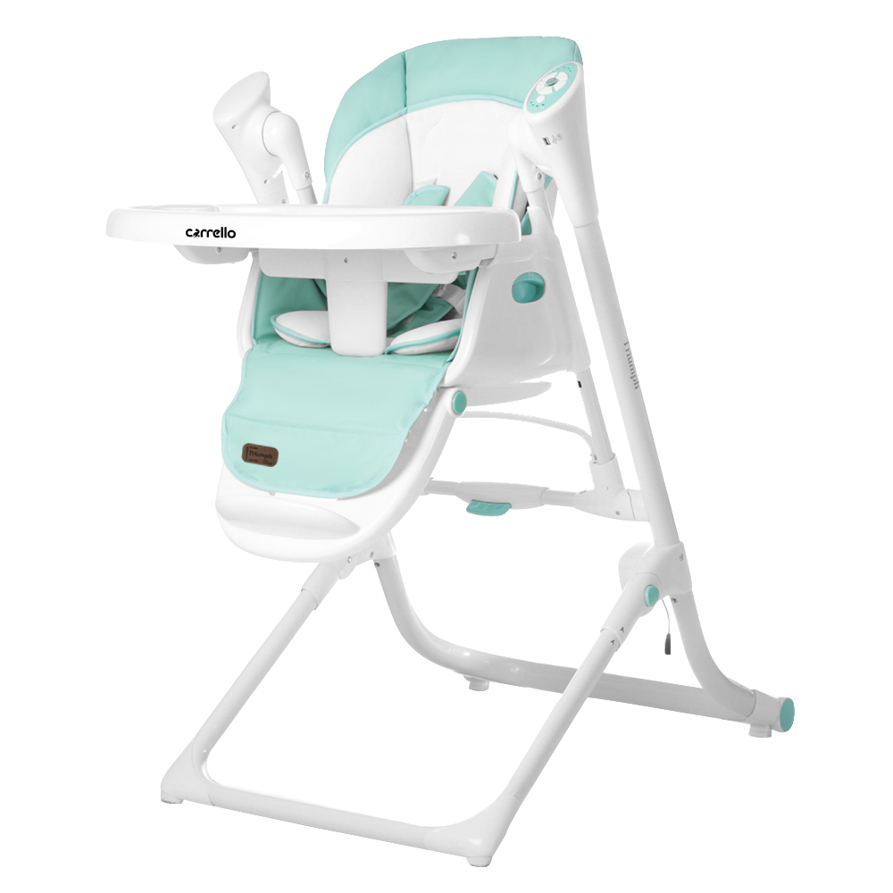 

Стілець-гойдалка CARRELLO Triumph CRL-10302 Turquoise / Mint Green /1/ MOQ