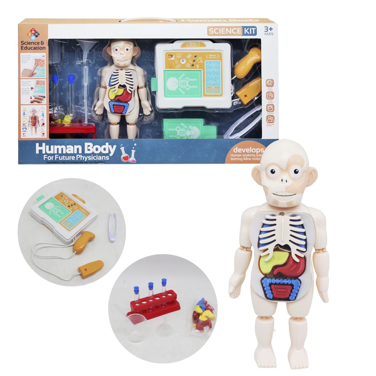 

Игровой набор Анатомия MiC (H326A) (177511)