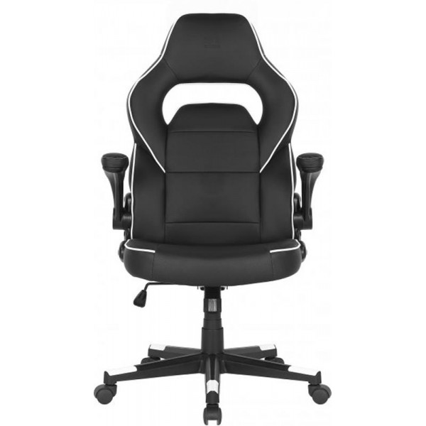 

Кресло для геймеров 2E Gaming Hebi Black/White (2E-GC-HEB-BKWT)